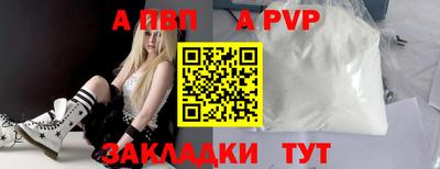 амф Кингисепп