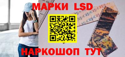амф Кингисепп