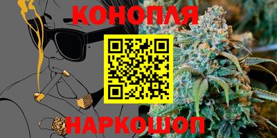 spice Кинель