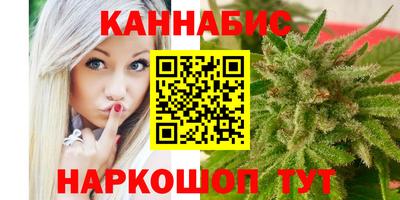 spice Кинель