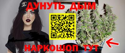 амф Кингисепп