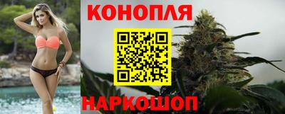 амф Кингисепп