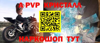 амф Кингисепп