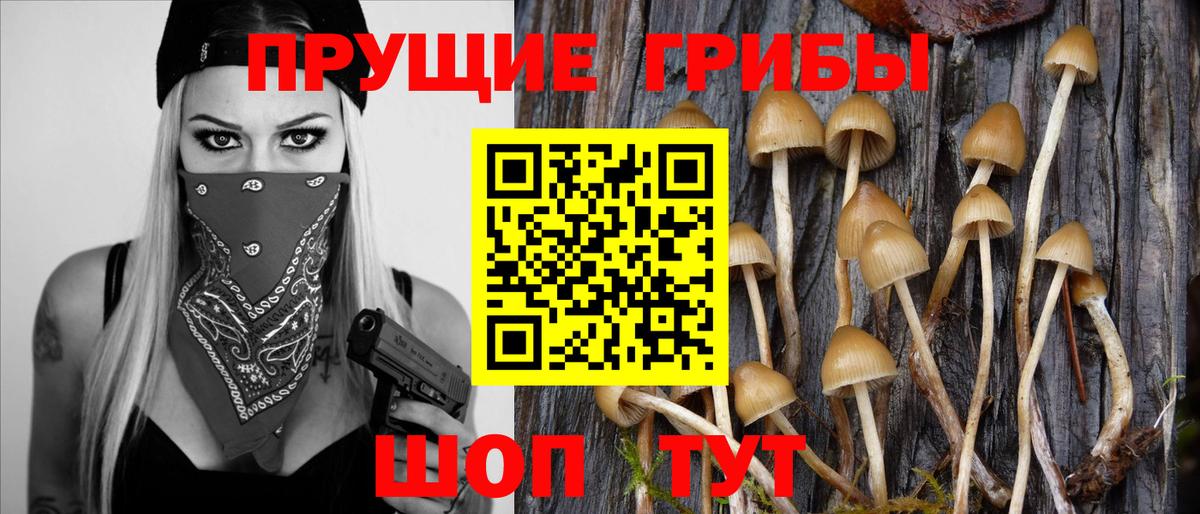 Псилоцибиновые грибы ЛСД  Псилоцибиновые грибы мухоморы  Вход с VPN  Кудымкар 