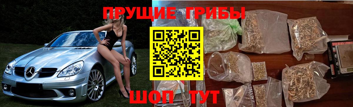 APVP Кудымкар